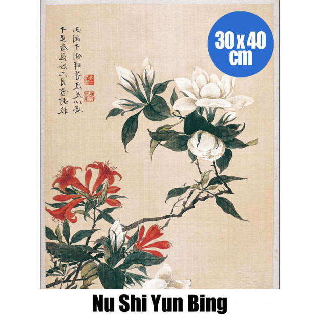 BA PF Nu Shi Yun Bing Lys oran BA PF Nu Shi Yun Bing Lys oran
