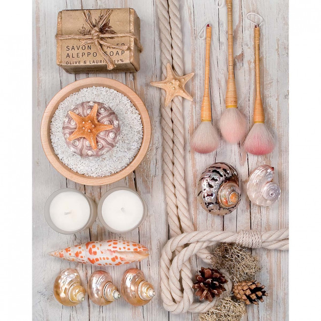 Bath and shells Bath and shells