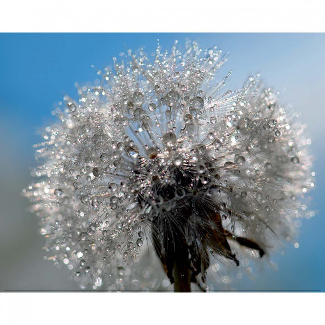 Crystal-clear bouquet Crystal-clear bouquet