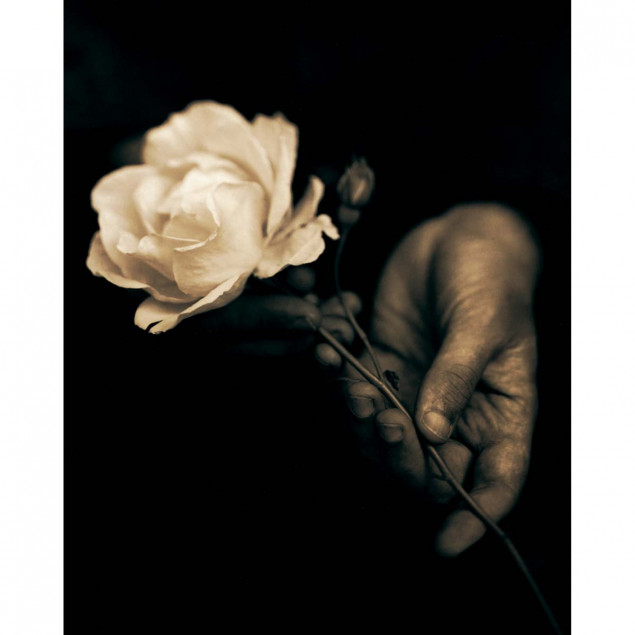 L'odorat / Scent / Riechen , Tessa TRAEGER L'odorat / Scent / Riechen , Tessa TRAEGER