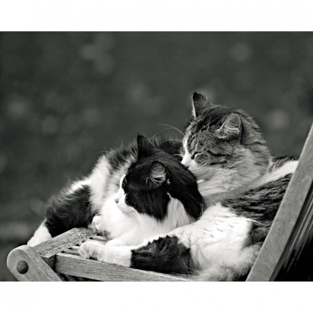 Little nap in the sun Little nap in the sun