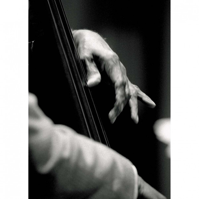 Bass player Bass player