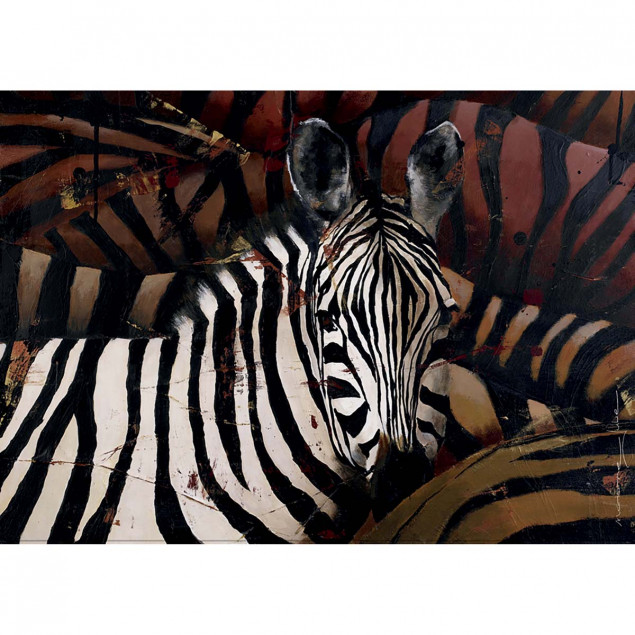 Zebras Zebras