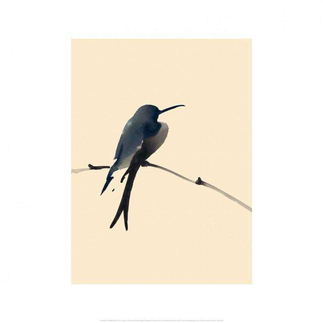Petit oiseau / Little bird, Aurore DE LA MORINERIE Petit oiseau / Little bird, Aurore DE LA MORINERIE