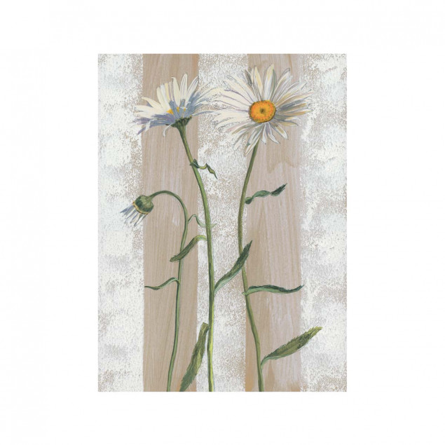 Marguerites Marguerites