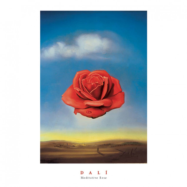 Meditative Rose Meditative Rose