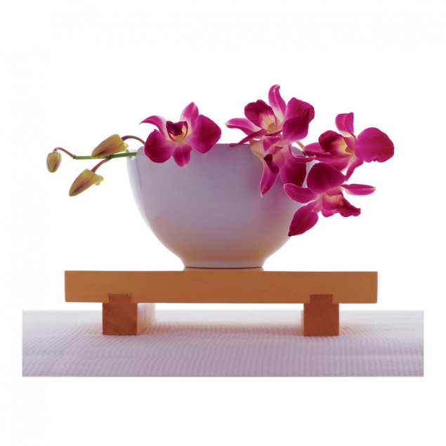 Magenta Orchid in White Bowl Magenta Orchid in White Bowl