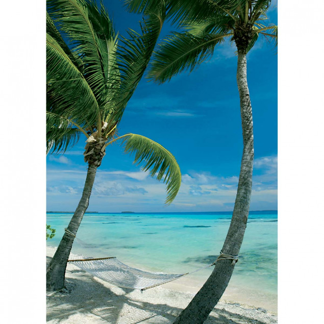 Hammock between two palm trees on beach Hammock between two palm trees on beach