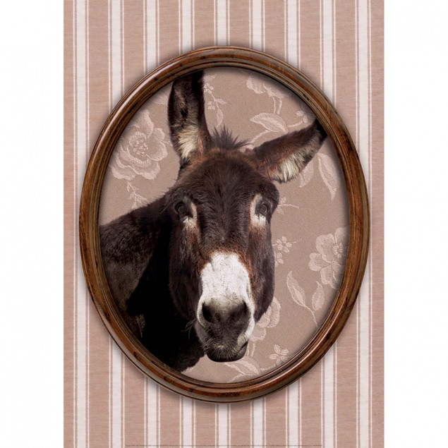 Portrait of a donkey Portrait of a donkey