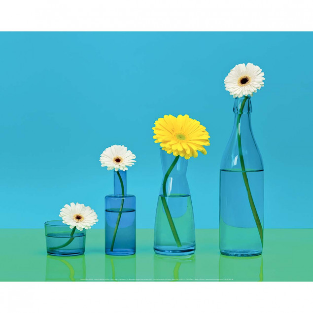 Pop flowers Pop flowers