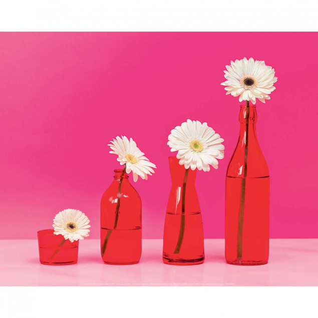 Fleurs pop Fleurs pop