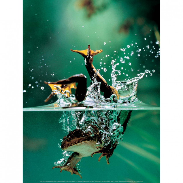 Frog under Water Frog under Water