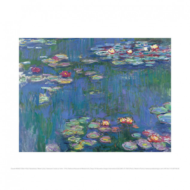 Water Lilies Water Lilies