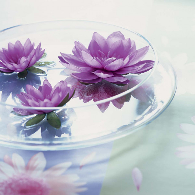 Transparent Bouquet Transparent Bouquet