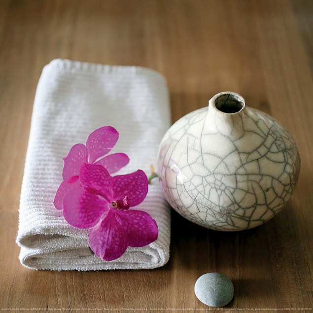 Orchidée et vase Orchidée et vase