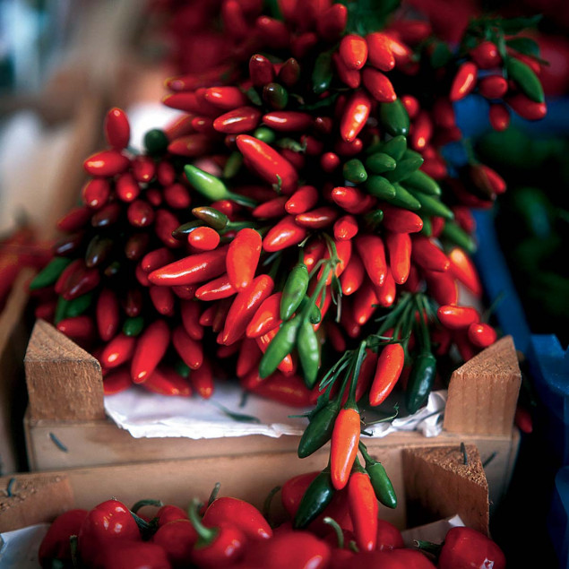 Red and green Chillis Red and green Chillis