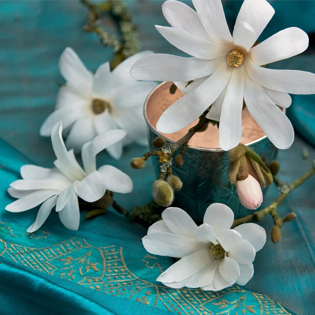 Magnolia et turquoise, Catherine BEYLER Magnolia et turquoise, Catherine BEYLER