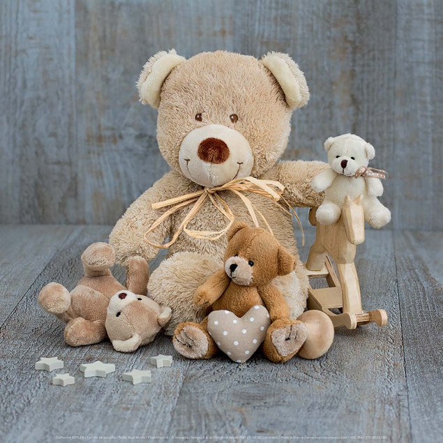 Teddy Bear family Teddy Bear family