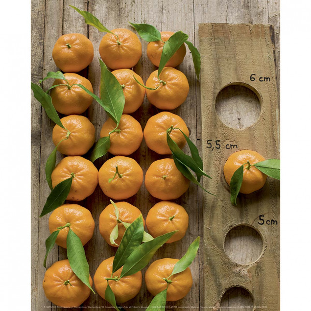 Clementine Clementine