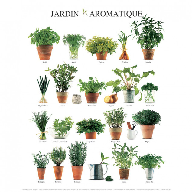 Affiche Jardin aromatique - 24x30cm Affiche Jardin aromatique - 24x30cm