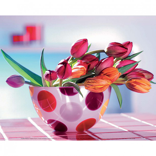 Tulips and Dots Tulips and Dots