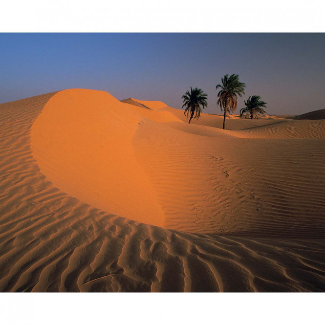 Algérie / Algeria, Philippe BOURSEILLER Algérie / Algeria, Philippe BOURSEILLER