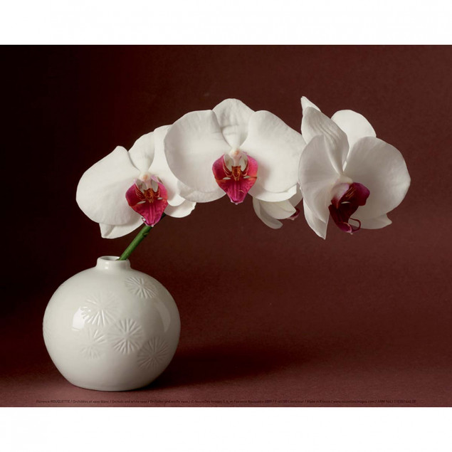 Orchids and white vase Orchids and white vase