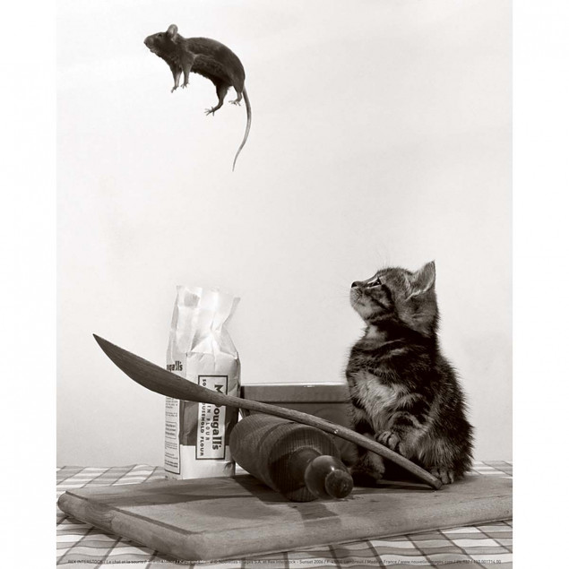 Le chat et la souris Le chat et la souris