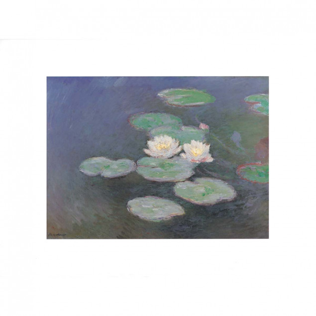 Water Lilies, effects at the Evening Water Lilies, effects at the Evening