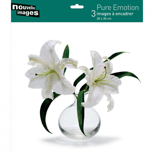 3 Affiches 30 x 30 cm Pure Emotion Collectif 3 Affiches 30 x 30 cm Pure Emotion Collectif