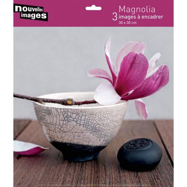 Magnolia - 3 30 x 30 cm posters Magnolia - 3 30 x 30 cm posters