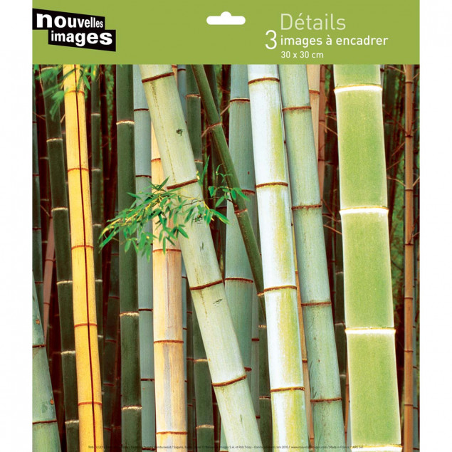Details - 3 30 x 30 cm posters Details - 3 30 x 30 cm posters