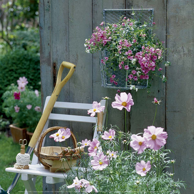 Garden shed Garden shed