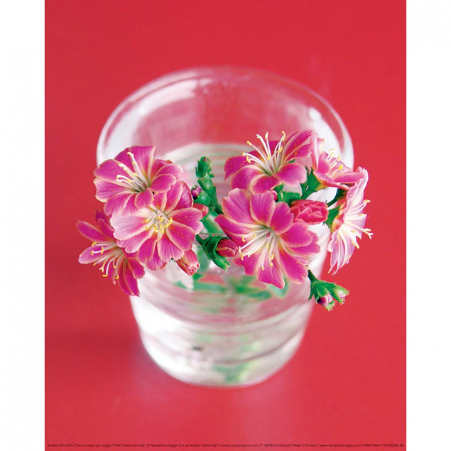 Pink Flowers on red Pink Flowers on red