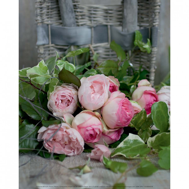 Roses poster, Catherine Beyler - 24 x 30 cm Roses poster, Catherine Beyler - 24 x 30 cm