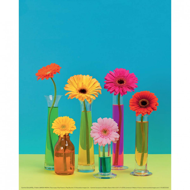 Fleurs pop Fleurs pop