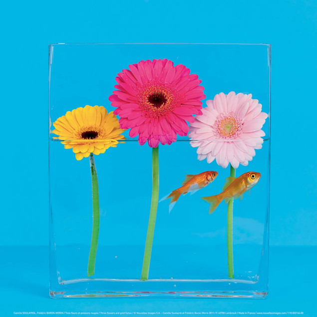 Three flowers and gold fishes Three flowers and gold fishes
