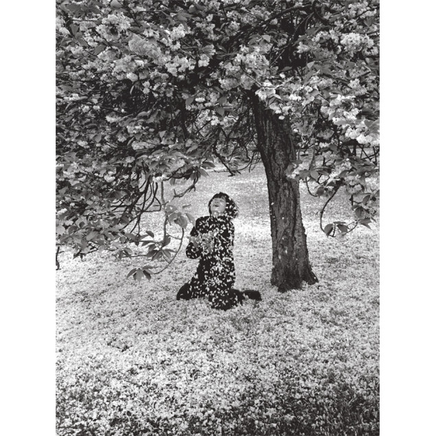Parc de Sceaux Printed canvas, E. BOUBAT 50x70 cm Parc de Sceaux Printed canvas, E. BOUBAT 50x70 cm