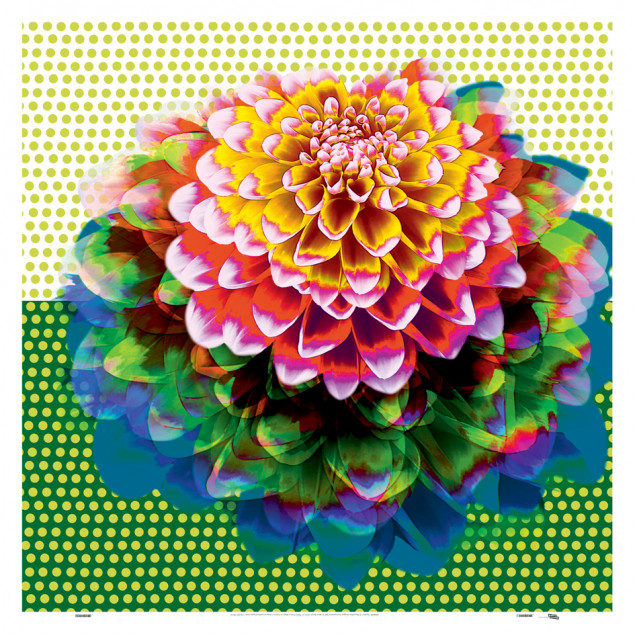 Sunny, Anna DANI - Printed canvas 90 x 90 cm Sunny, Anna DANI - Printed canvas 90 x 90 cm