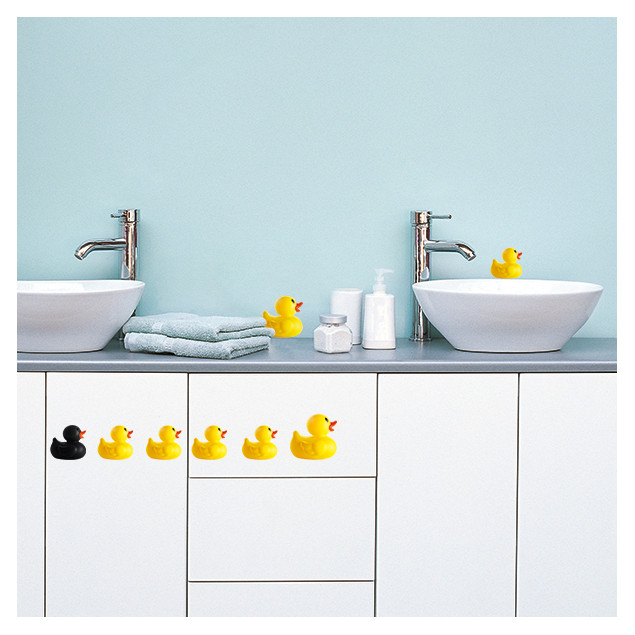Duck Family Duck Family