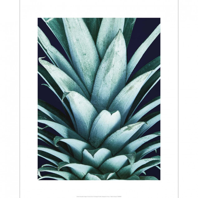 Vintage Pineapple Crown Poster 5.7x19.6 inch Vintage Pineapple Crown Poster 5.7x19.6 inch